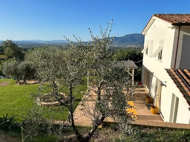 Casa Oro Villa Montecarlo